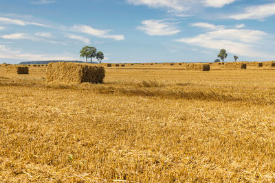 Agriculture field after harvest with large bales of hay in a wheat field