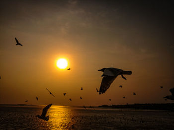 Silhouette birds flying over sea against sky during sunset