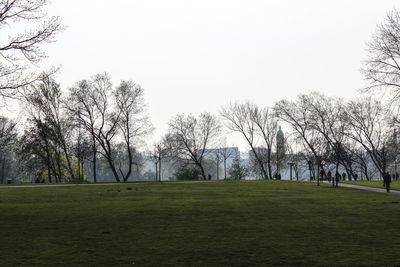 Trees on field against clear sky