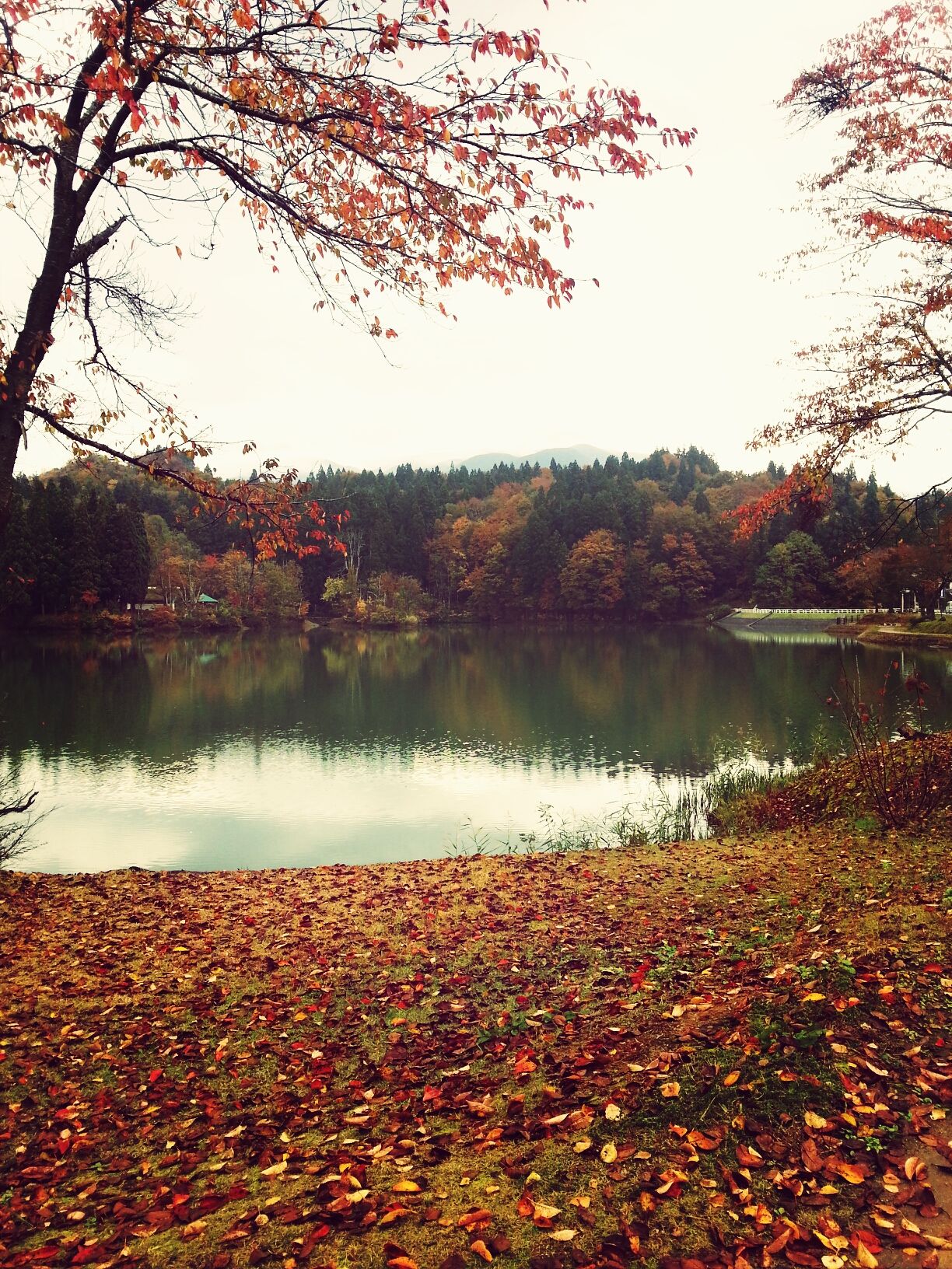 鏡ケ池レクリエーション公園