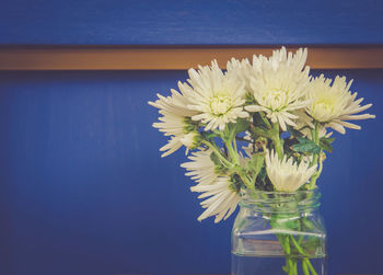 Close-up of flowers in vase against wall