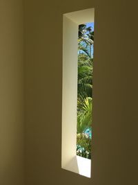 Close-up of multi colored wall