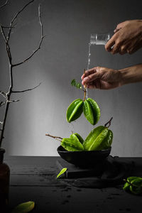 Midsection of man holding leaf on table