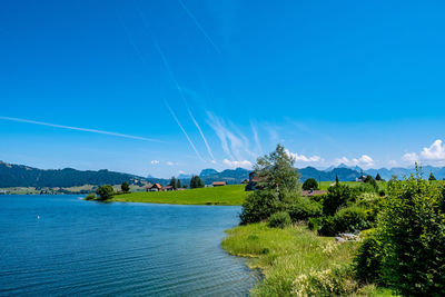 Scenic view of landscape against blue sky