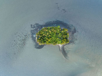 Aerial drone bird's eye view of a small island shaped like a kidney or brain.  waikawa, new zealand.