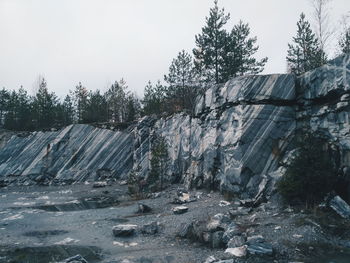 Plants growing on rocks against sky