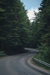 Road amidst trees against sky