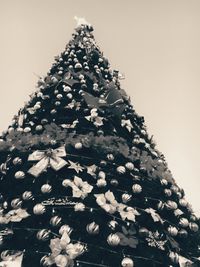 Low angle view of tree against sky