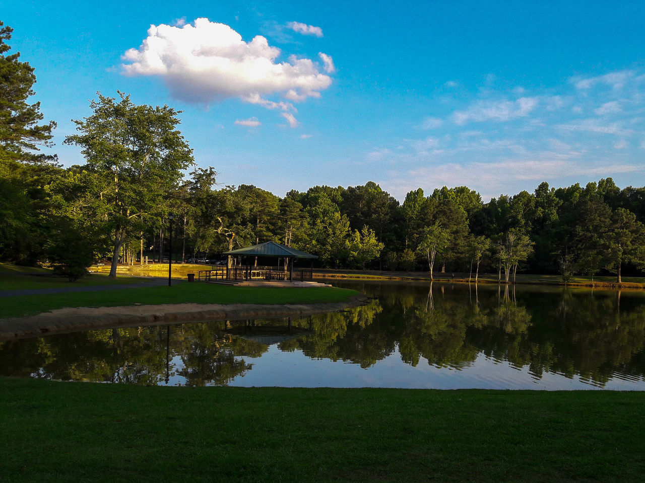 TREES BY LAKE AGAINST SKY