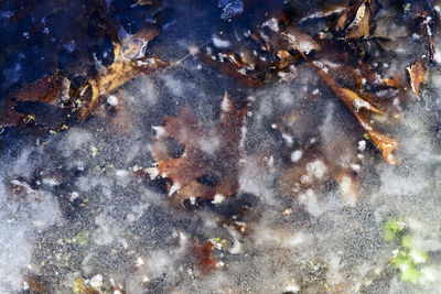 Full frame shot of rocks in sea