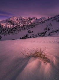 Grazing light at the end of the day on the vallon pellat - lumière de fin de jour, hautes alpes