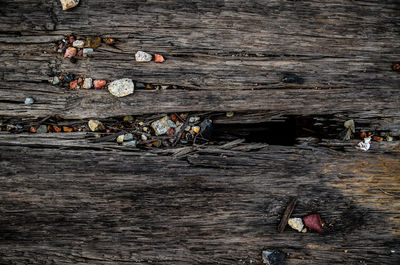 Close-up of wooden planks