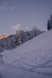 Snow covered field against sky