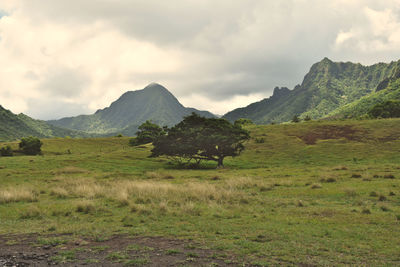 Scenic view of landscape and mountains against sky