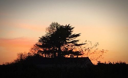 Low angle view of silhouette trees against sky at sunset