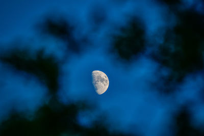 Low angle view of the moon in the sky