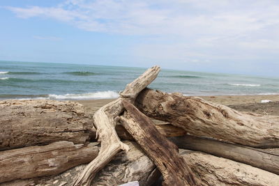 Driftwood on beach against sky