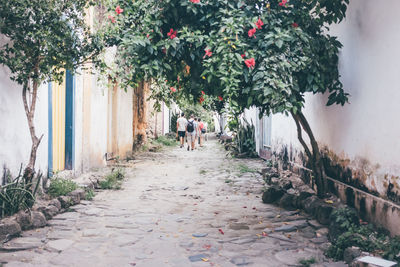 Rear view of people walking on walkway amidst buildings