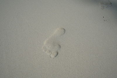 High angle view of footprints on beach