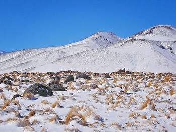 Scenic view of snowcapped mountains against clear blue sky