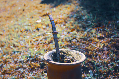 High angle view of drink on table