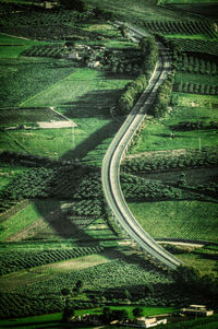 High angle view of winding road on field