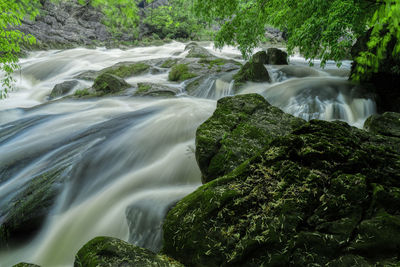 Scenic view of waterfall in forest