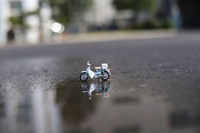 Toy on wet road in city
