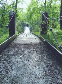 Narrow walkway along trees