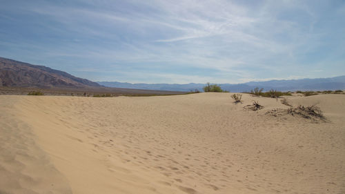 Scenic view of desert against sky