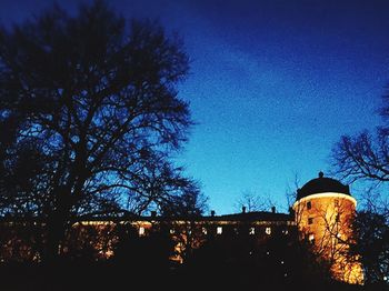 Low angle view of bare trees against blue sky