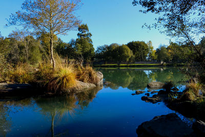 Scenic view of lake against clear blue sky