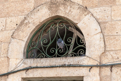 Close-up of old building