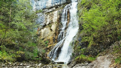 Scenic view of waterfall in forest