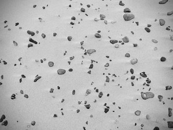 Full frame shot of water drops on paper