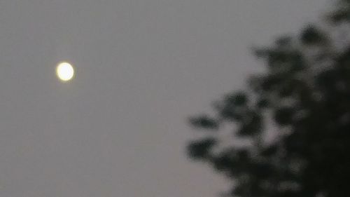 Low angle view of moon against clear sky at night