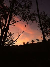 Low angle view of silhouette trees against sky at sunset