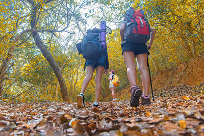 Rear view of people walking on leaves in forest
