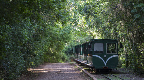 Train amidst trees