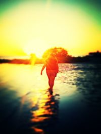 Silhouette of people at beach during sunset