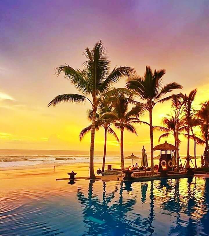 palm tree, water, tree, sunset, beach, swimming pool, sea, silhouette, vacations, leisure activity, tourist resort, tranquility, beauty in nature, scenics, nature, tranquil scene, enjoyment, real people, men, outdoors, travel destinations, lifestyles, sky, swimming, day, one person, adult, people