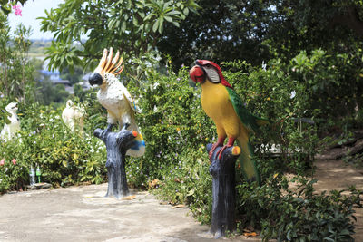Statue of bird in the garden.