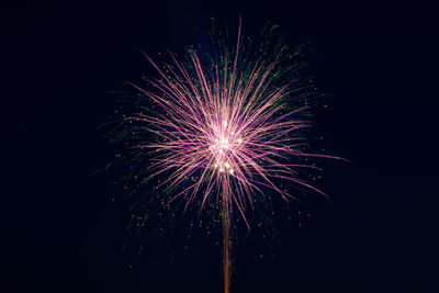 Low angle view of firework display at night
