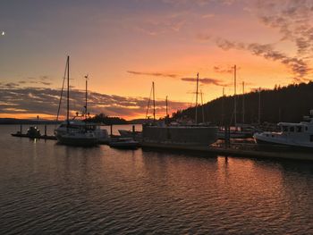 Sailboats moored at harbor during sunset
