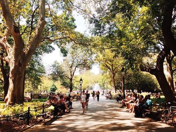 People walking on footpath in park