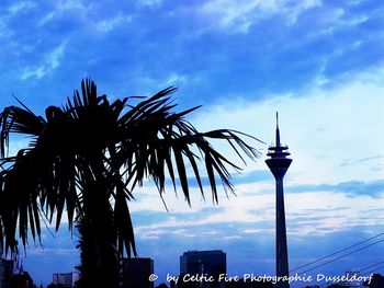 Low angle view of palm trees against cloudy sky