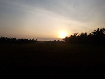 Silhouette trees on field against sky during sunset