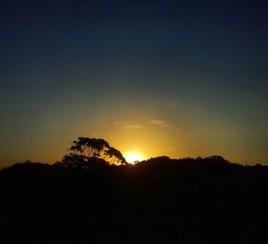 Silhouette trees against sky during sunset