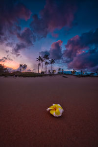 Scenic view of beach against sky during sunset