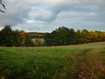 Trees on grassy field against cloudy sky